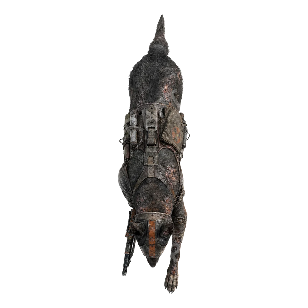 Mutant Dog Packs 26 top-down token preview