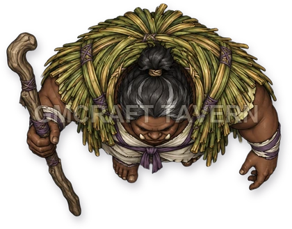 Aperçu du token vu du dessus de Durg Reedvale - Druide